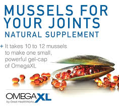 Omega XL Joint Health Supplement with Omega-3 & 30 Essential Fatty Acids – 120 Softgels