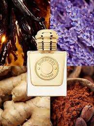 Burberry Goddess Intense Eau de Parfum EDP Dab-On Sample 5ml (0.16 oz) – Long Lasting Vanilla Fragrance | Expiry 2028