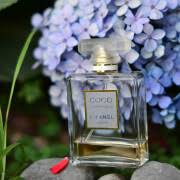 CHANEL Coco Mademoiselle Eau de Parfum 3.4 oz (100 ml) – Luxury Fragrance for Women | Made in France